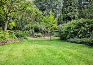Optimiser l'expérience du jardin à Villeherviers